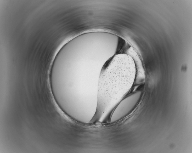 X0000094460813200711291720