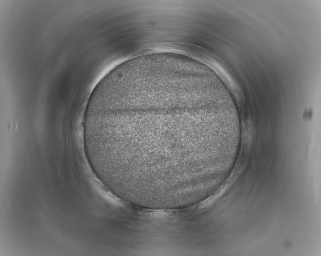 X0000094460814200711291720