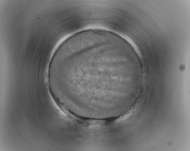 X0000094460815200711291720