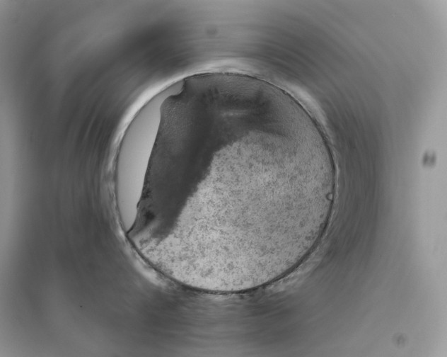 X0000094460816200711291720