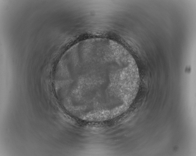 X0000094460817200711291720