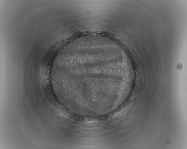 X0000094460818200711291720