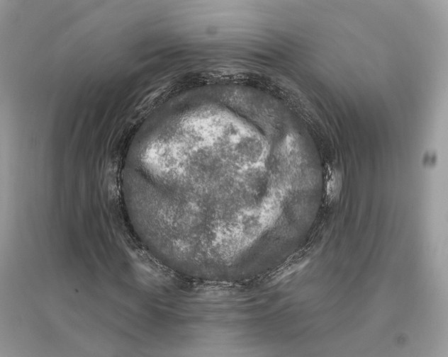 X0000094460819200711291720