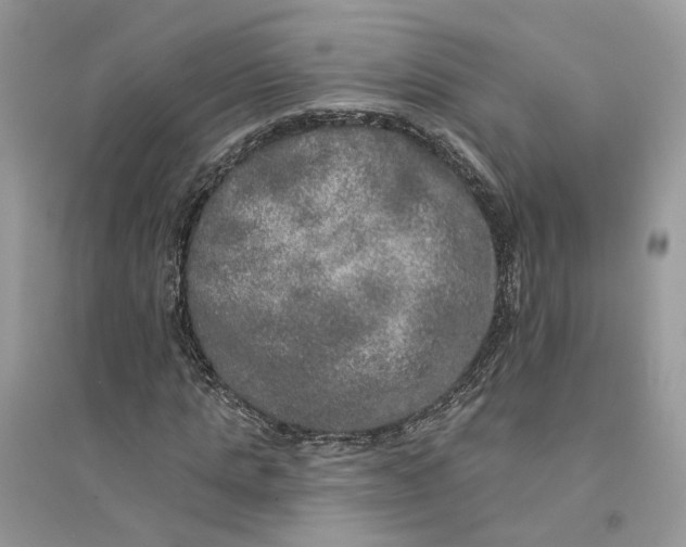 X0000094460821200711291720