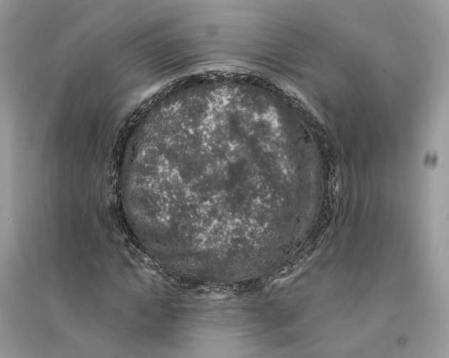 X0000094460822200711291720