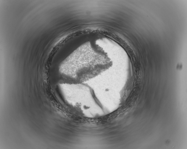 X0000094460823200711291720