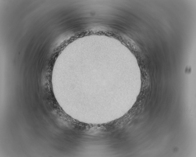 X0000094460824200711291720