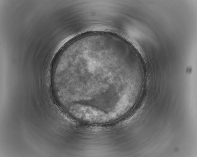 X0000094460829200711291720