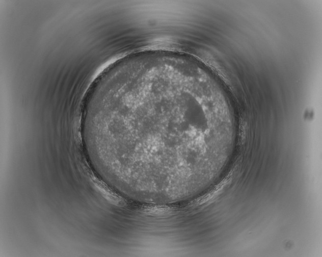 X0000094460830200711291720