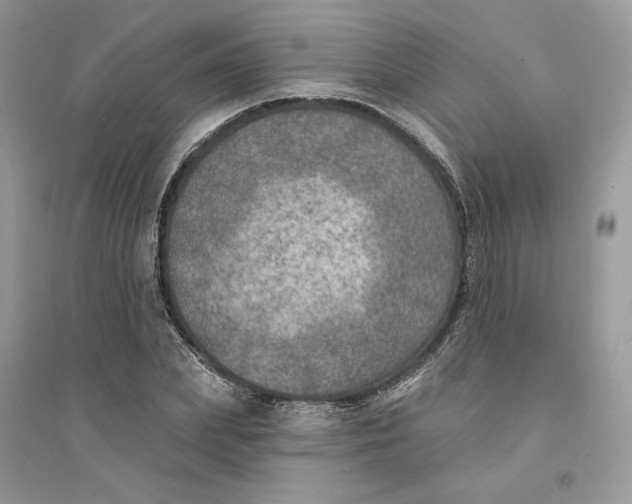 X0000094460831200711291720