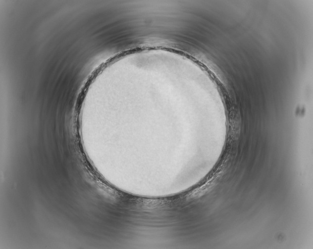 X0000094460832200711291720