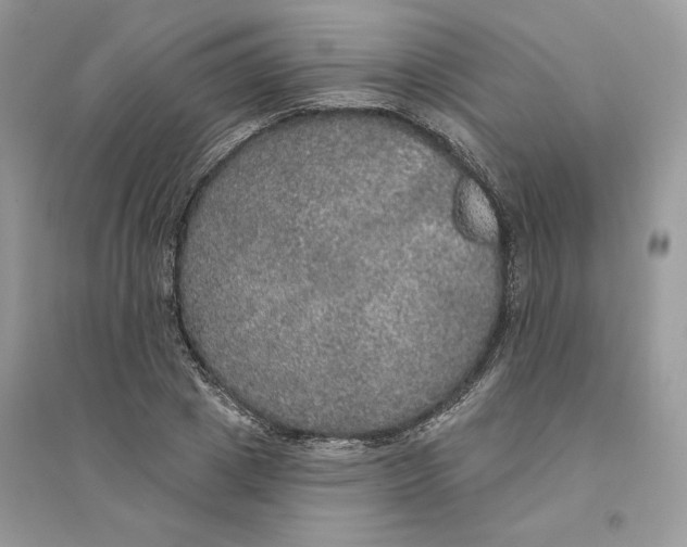 X0000094460833200711291720