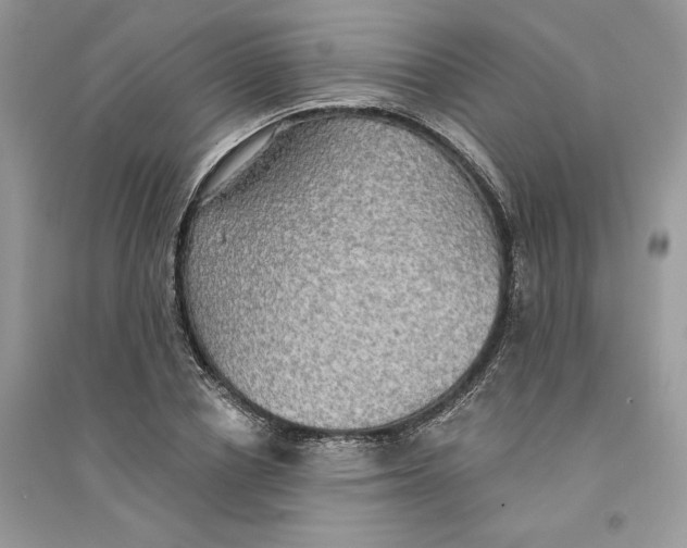 X0000094460834200711291720