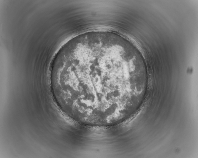 X0000094460835200711291720