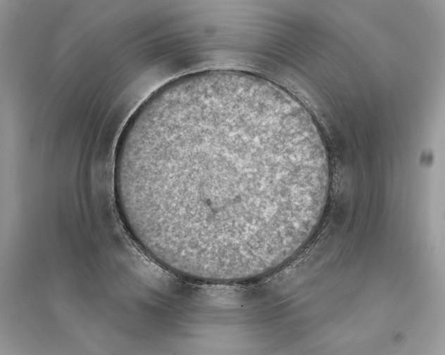 X0000094460836200711291720