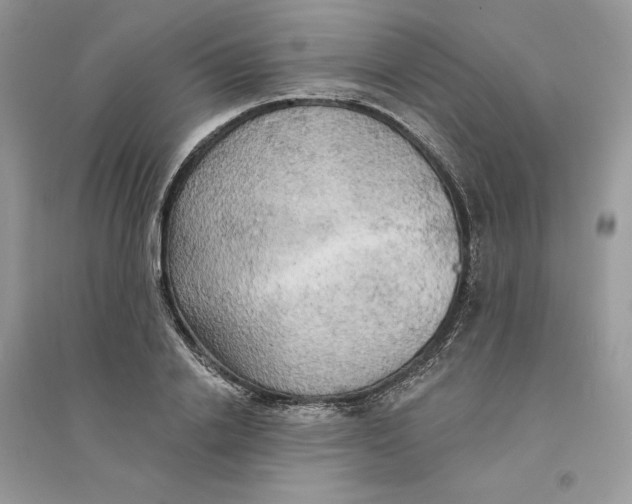 X0000094460838200711291720