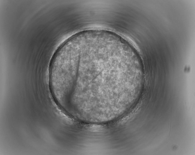 X0000094460839200711291720