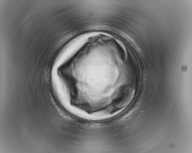 X0000094460841200711291720