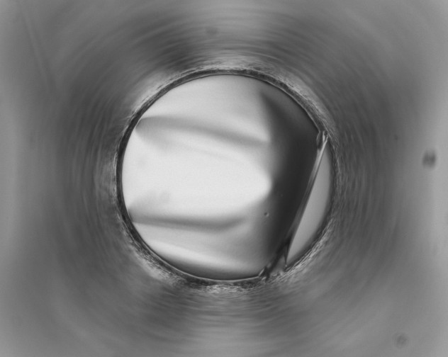 X0000094460842200711291720