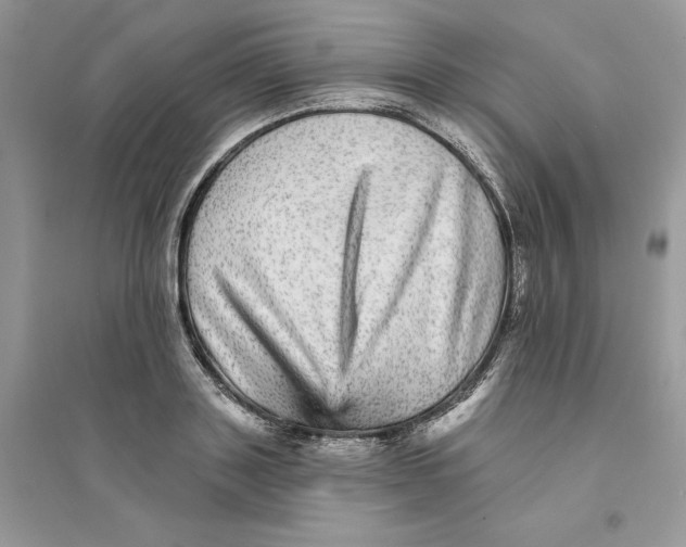 X0000094460843200711291720