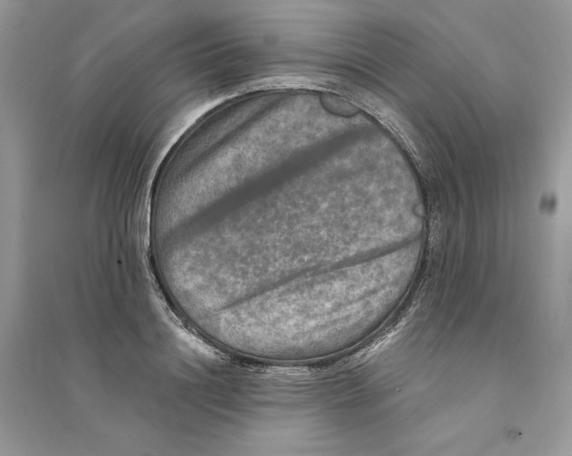 X0000094460844200711291720