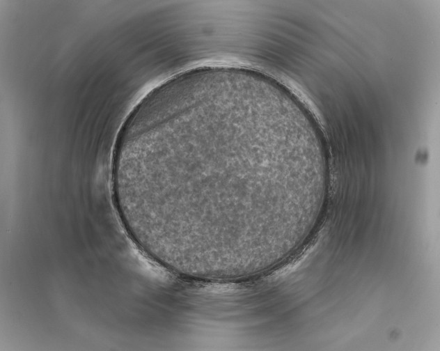 X0000094460845200711291720