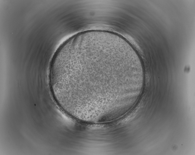 X0000094460846200711291720