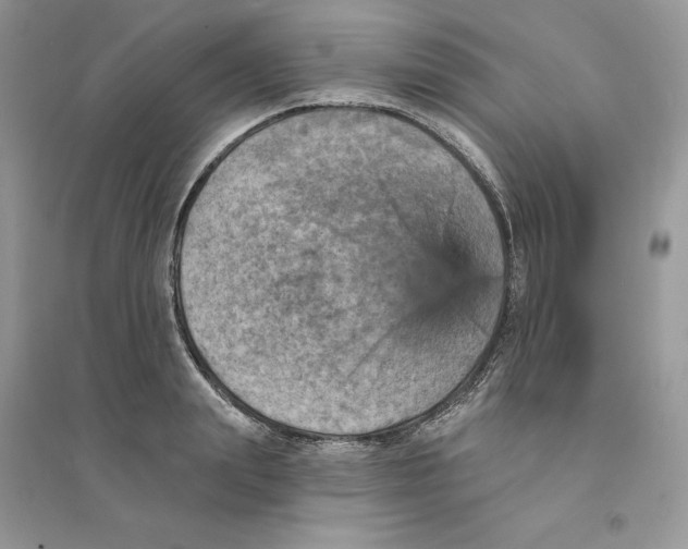 X0000094460847200711291720