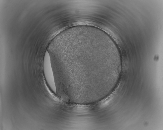 X0000094460849200711291720