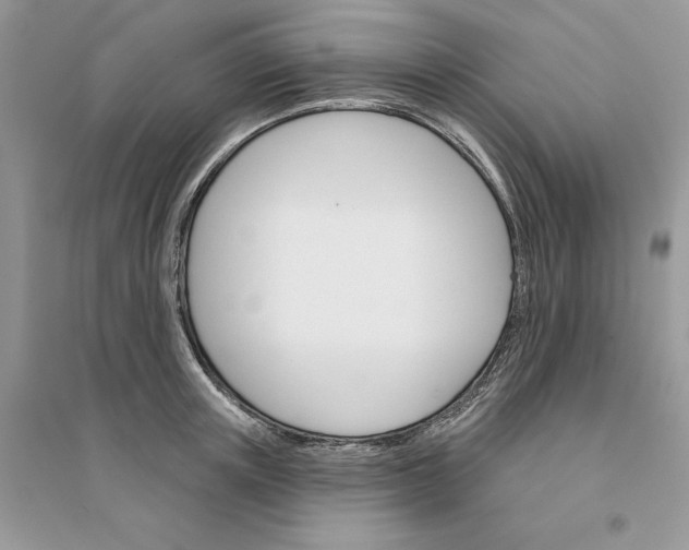 X0000094460851200711291720