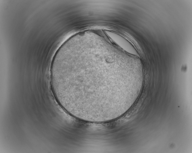 X0000094460852200711291720