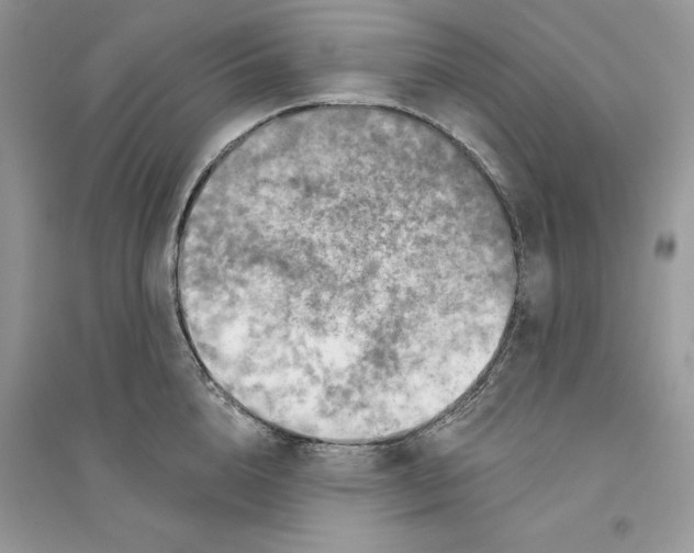 X0000094460856200711291720