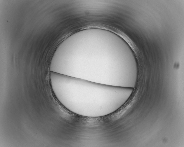 X0000094460857200711291720