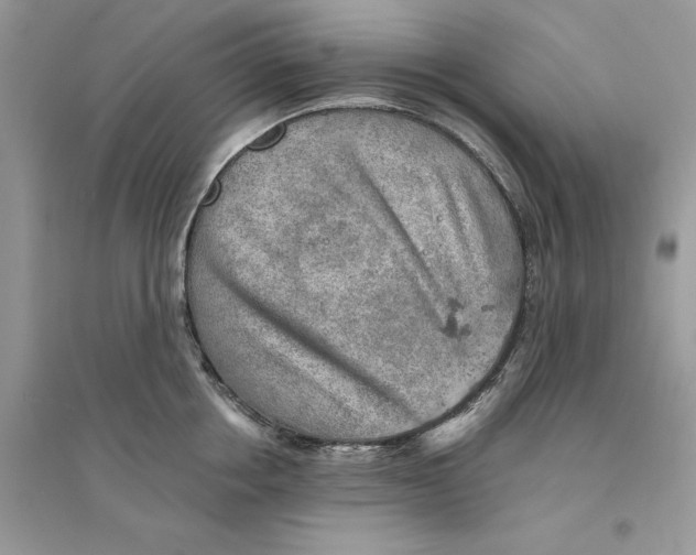 X0000094460858200711291720