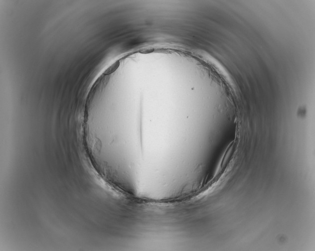 X0000094460860200711291720