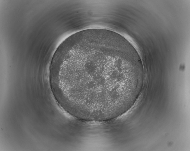 X0000094460862200711291720