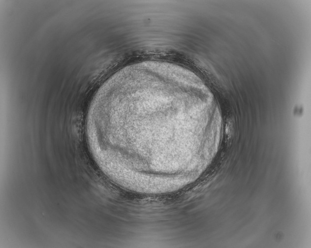 X0000094460867200711291719