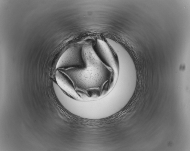 X0000094460868200711291719