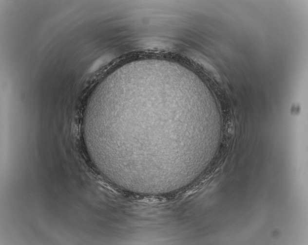 X0000094460869200711291719