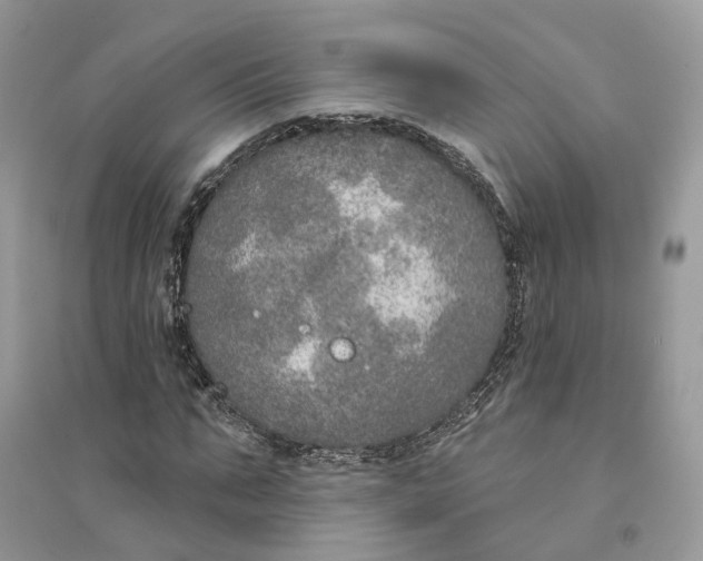 X0000094460871200711291719