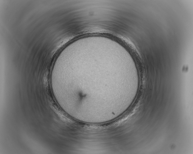 X0000094460873200711291719