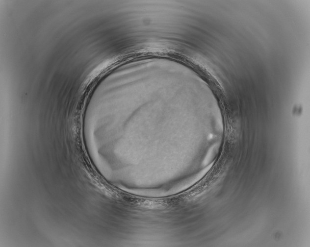 X0000094460874200711291719