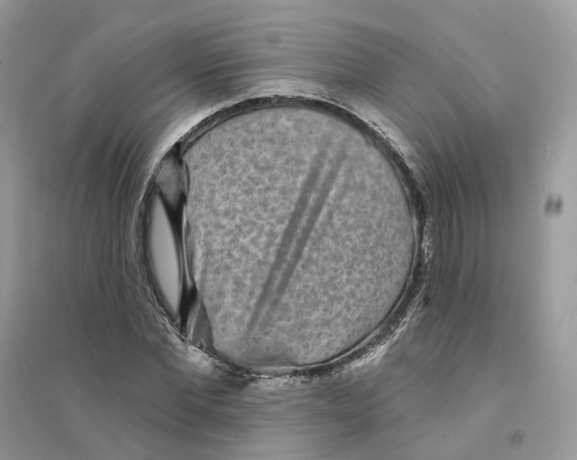 X0000094460877200711291719