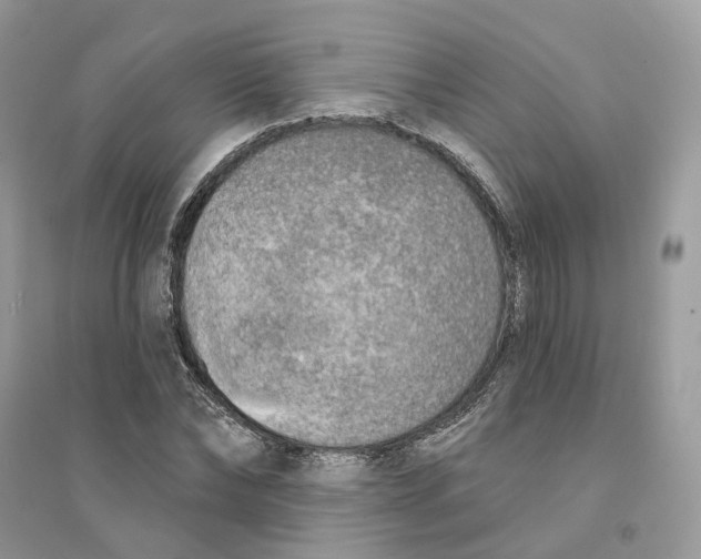 X0000094460878200711291719