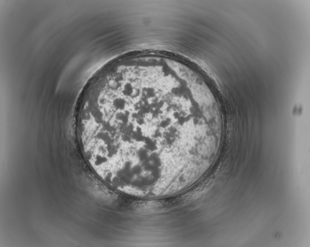 X0000094460879200711291719