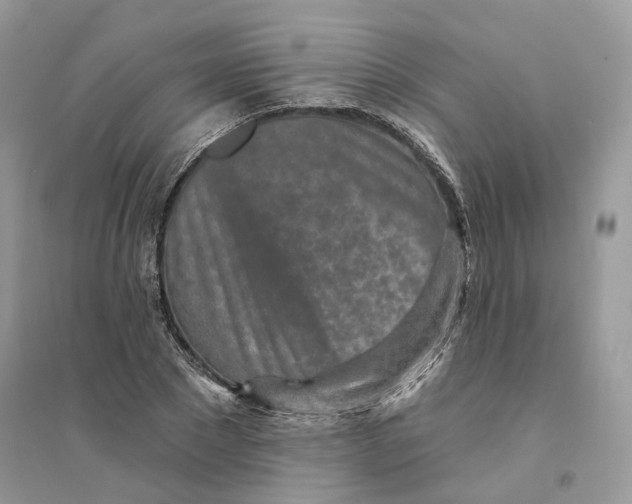 X0000094460881200711291719