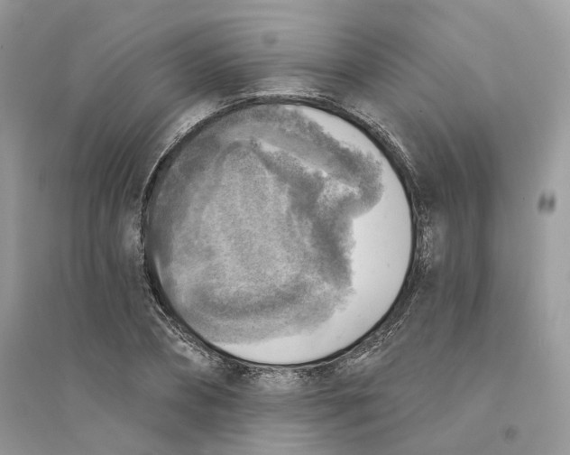 X0000094460882200711291719