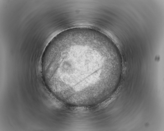 X0000094460883200711291719