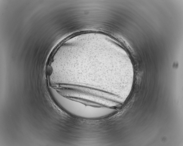 X0000094460884200711291719