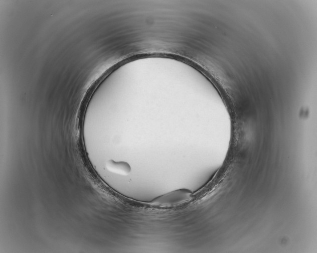 X0000094460885200711291719